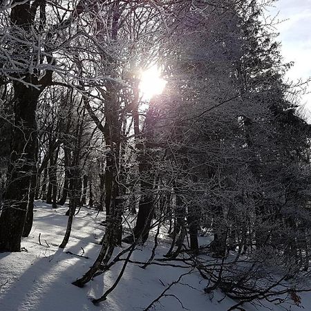 L'Ideal Gérardmer Kültér fotó